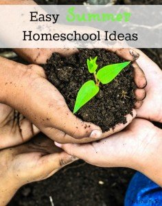 Easy Summer Homeschool Ideas