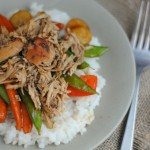 Slow Cooker Teriyaki Chicken