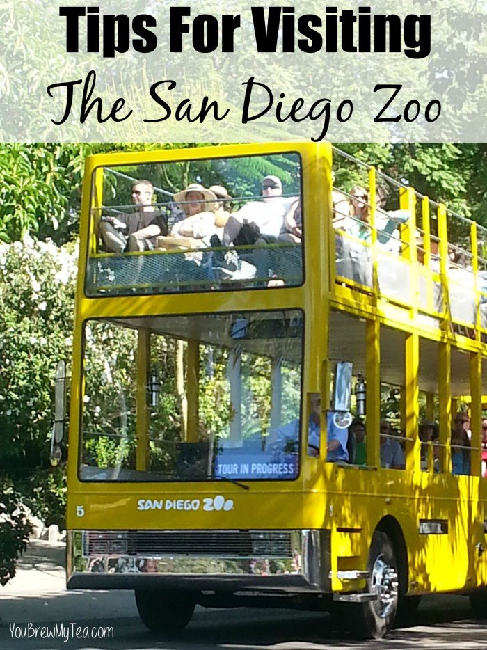 Tips For Visiting The San Diego Zoo