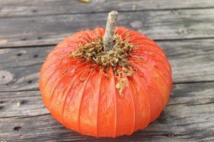 Dryer Vent Fall Pumpkin