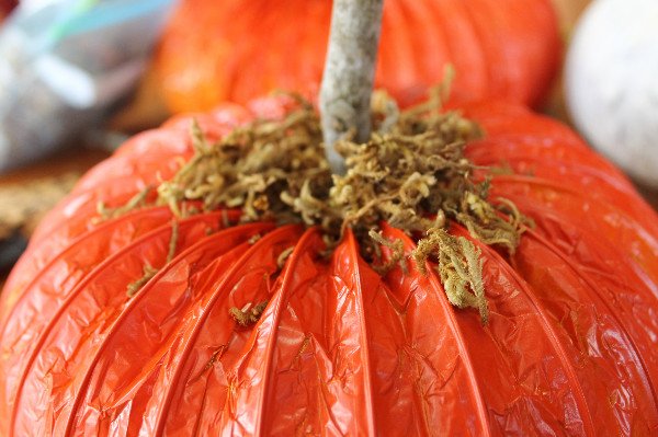 dryer vent pumpkin moss
