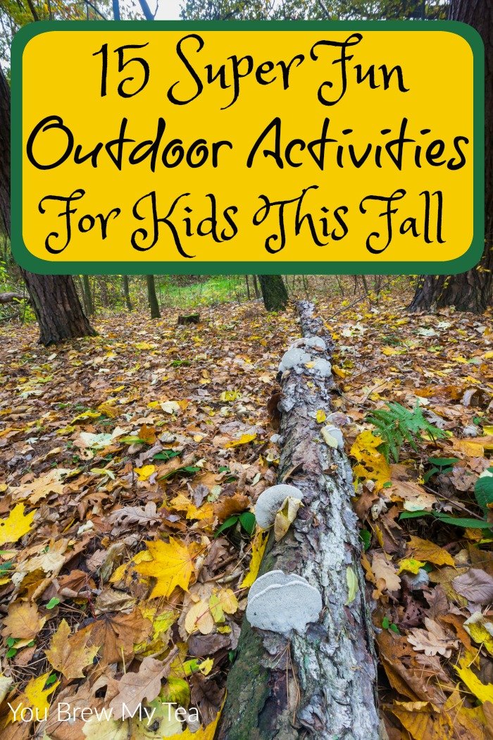 15 Fun Outdoor Activities For Kids This Fall You Brew My Tea