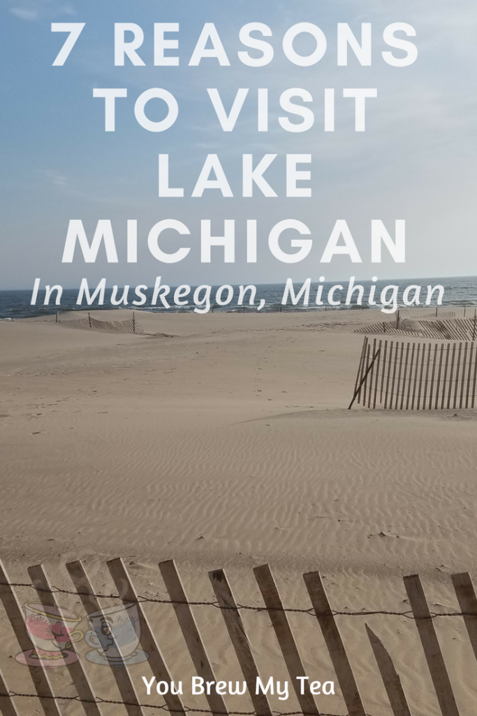 7 Reasons to Visit Lake Michigan You Brew My Tea