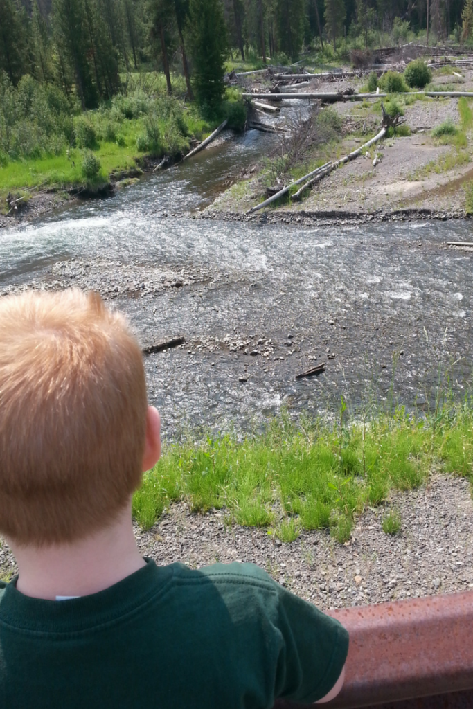 How to Plan a Yellowstone National Park Vacation You Brew My Tea