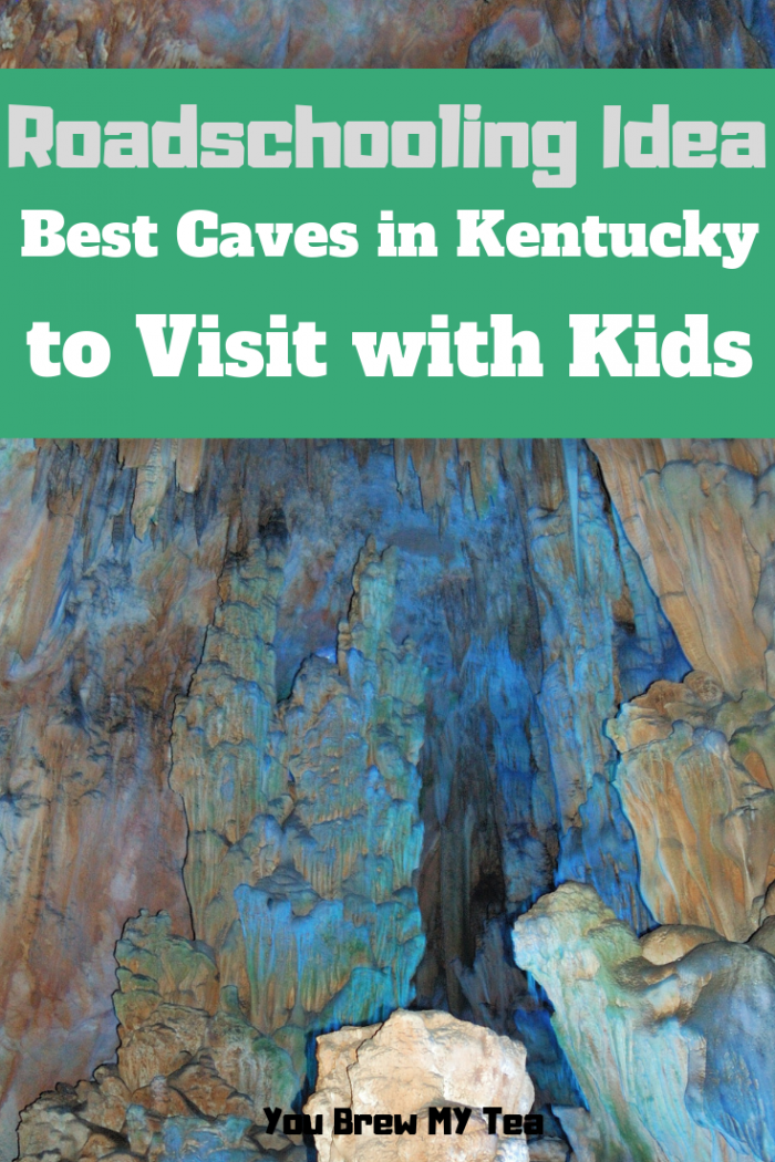 Best Caves in Kentucky to Visit with Kids You Brew My Tea