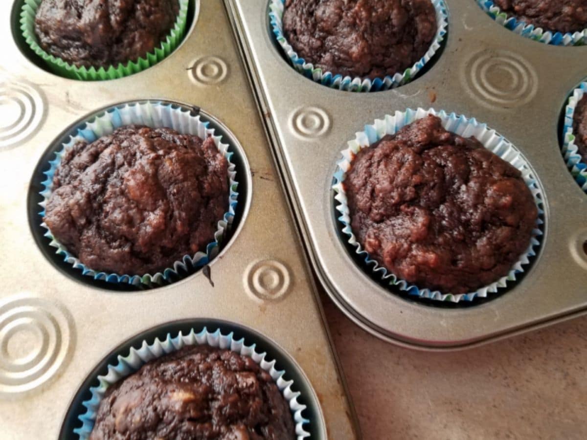 chocolate muffins still in muffin tin