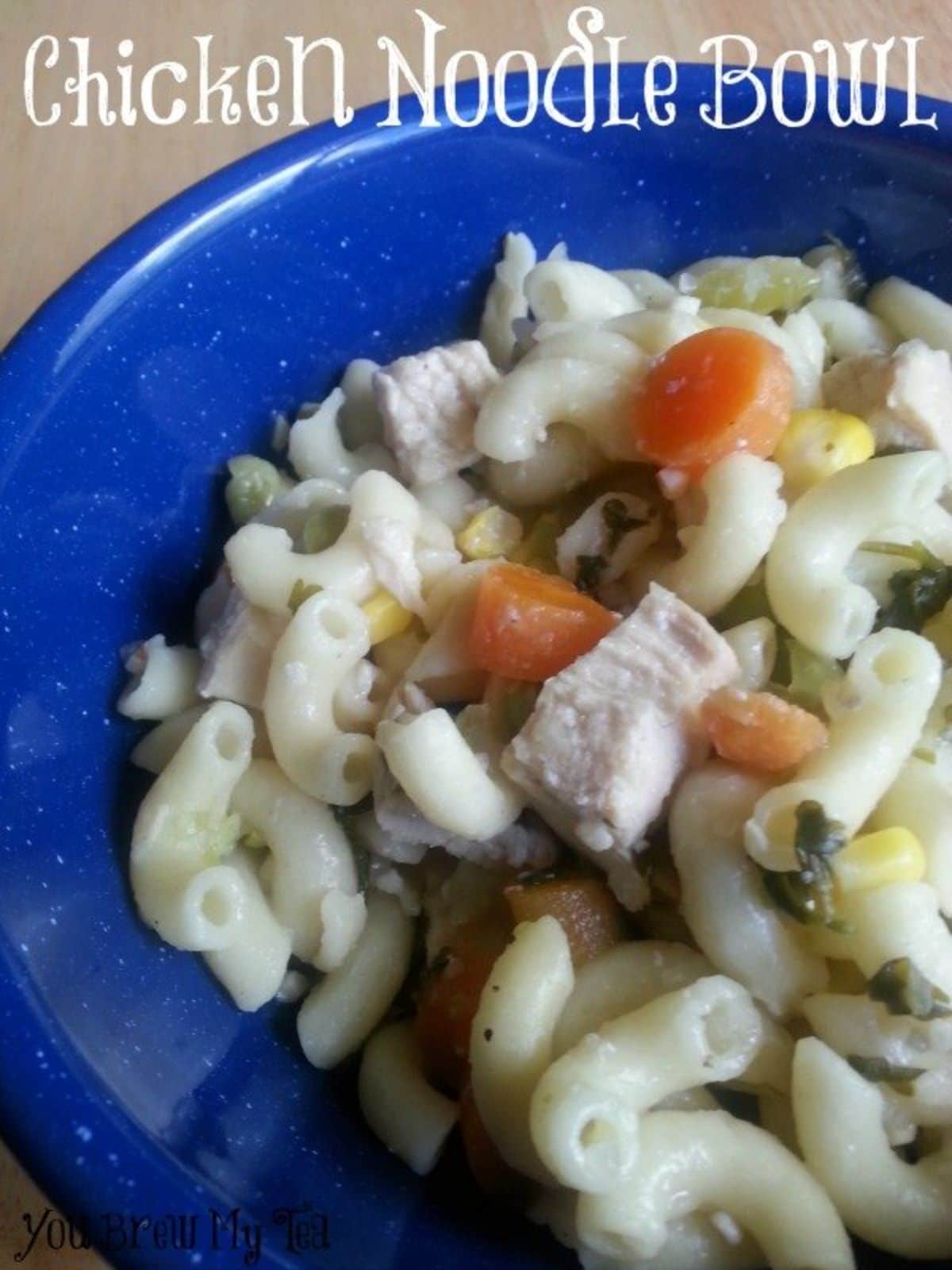 chicken noodle soup in blue bowl